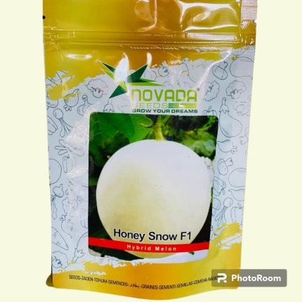 melon hybrid honey snow f1 100gm
