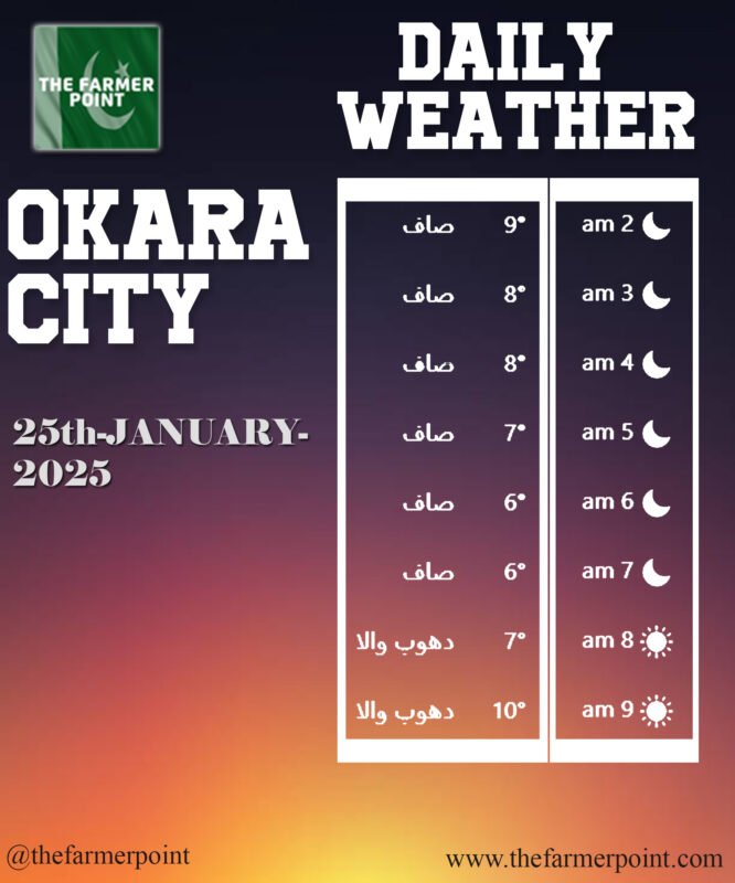 Okara Weather Forecast