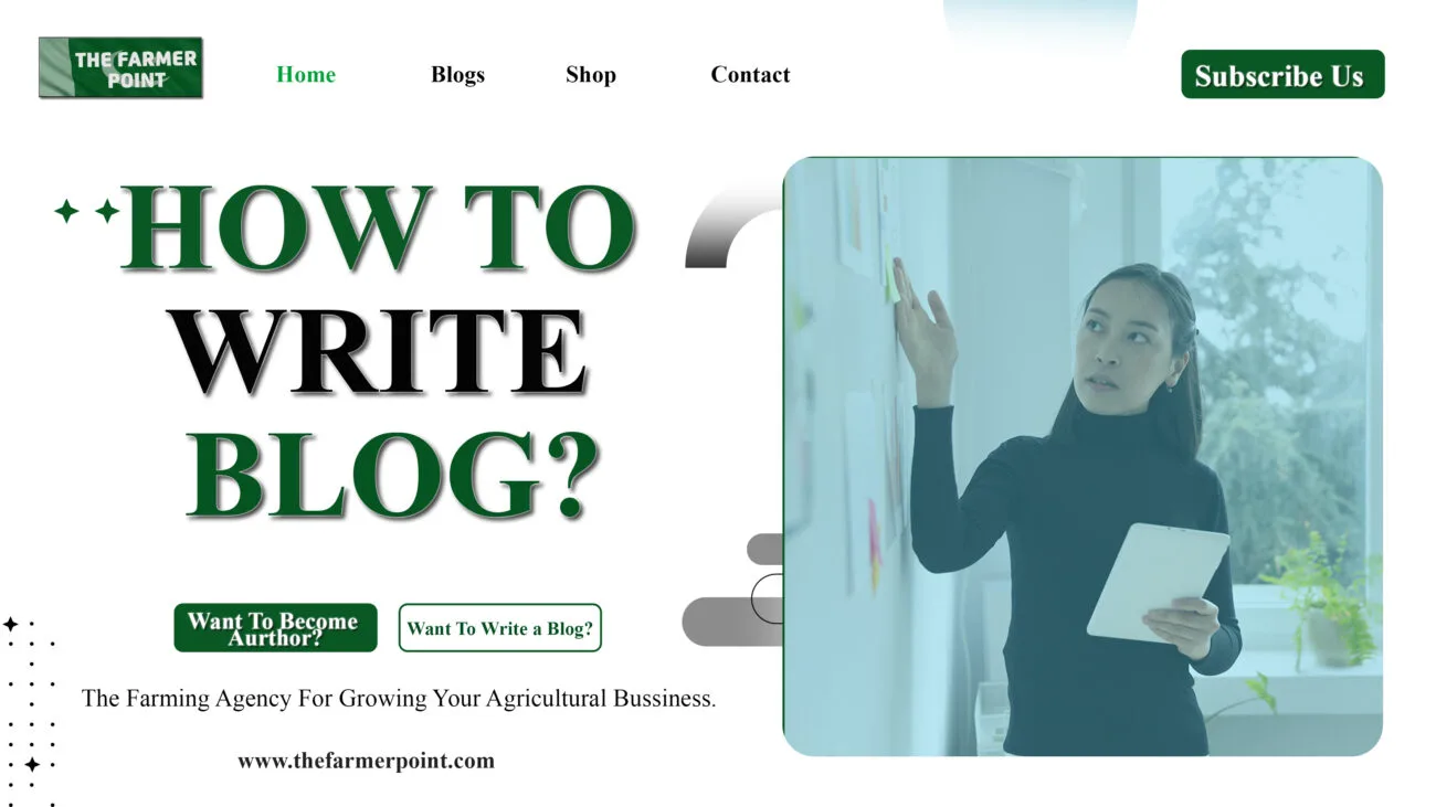 blog article