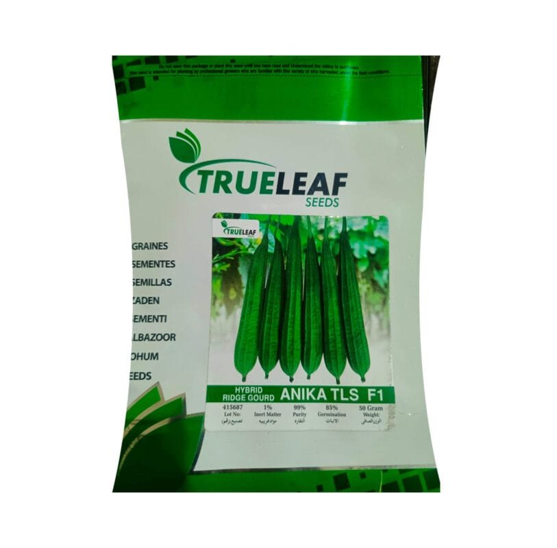 Hybrid-Ridge-Gourd-ANIKA-TLS-F1