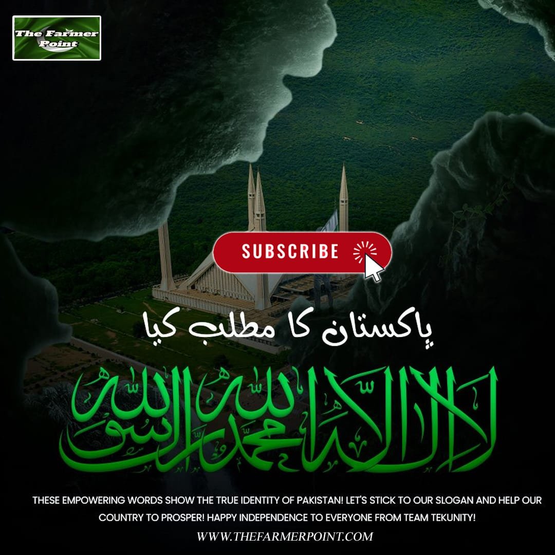 pakistan-ka-mtlb-kia