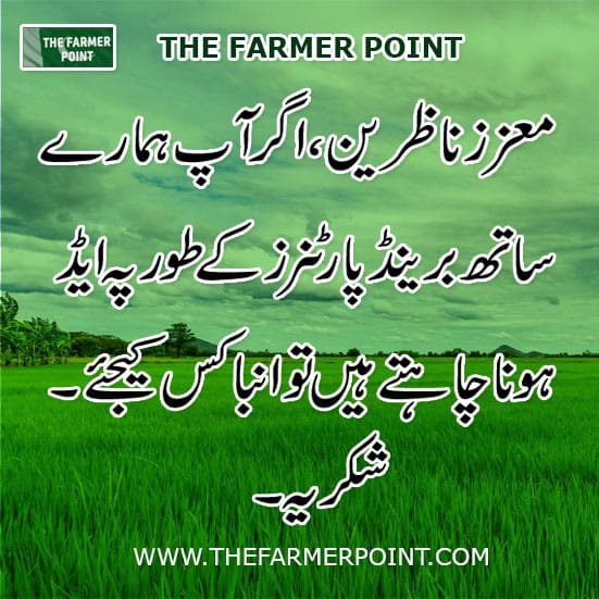 The Farmer Point invites you to become a Brand Partner and advertise with us to reach a highly engaged, niche audience.