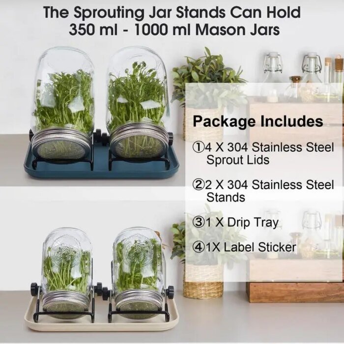 Sprouting Jar Kit Seed Sprouting Mason Jars With Strainer Lids Durable Bean Sprouts Growing Kit For Seeds Broccoli Beans jardin - Image 2