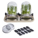 Sprouting Jar Kit Seed Sprouting Mason Jars With Strainer Lids Durable Bean Sprouts Growing Kit For Seeds Broccoli Beans jardin - Image 6