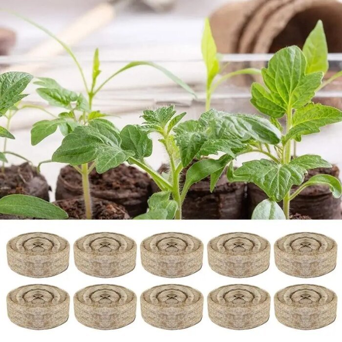 10 Peat Pellets 30mm Soil Seeds Starting Soil Pellet Fiber Soil Indoor Seed Starter Kit For Garden Or Planter Pot Grow Herb - Image 3