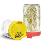Safe Seeds Planting Sprouting Lid Bottles Mesh Cover for Wide-mouthed Mason Jar Food Grade Mesh Sprout Cover Kit - Image 2
