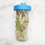 Safe Seeds Planting Sprouting Lid Bottles Mesh Cover for Wide-mouthed Mason Jar Food Grade Mesh Sprout Cover Kit - Image 3