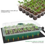 3 pcs Seed Tray, 40 Holes Cell Propagator Growth Thickening Seedling Start Growth Tray With Transparent Cover Greenhouse And Gar - Image 3