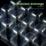 5Pcs Seed Propagator Tray Plastic Seedlings Trays with Transparent Cover Breathable Seedlings Germination Tray for Garden Indoor - Image 5
