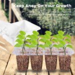 5Pcs Seed Propagator Tray Plastic Seedlings Trays with Transparent Cover Breathable Seedlings Germination Tray for Garden Indoor - Image 6
