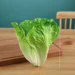 vegetable strawberry Onion Broccoli Cucumber Eggplant Pepper Pumpkin Cabbage Shallot Carrot Tomato Lettuce Chili celery Corn - Image 5