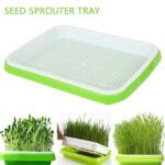 1PC Seed Sprouter Tray Wheatgrass Sprouting Pot Planter Soilless Bean Culture Hydroponic Nursery Plate Cat Grass Bonsai Seeds - Image 2