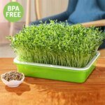 1PC Seed Sprouter Tray Wheatgrass Sprouting Pot Planter Soilless Bean Culture Hydroponic Nursery Plate Cat Grass Bonsai Seeds - Image 3