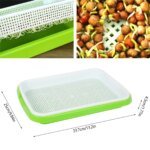 1PC Seed Sprouter Tray Wheatgrass Sprouting Pot Planter Soilless Bean Culture Hydroponic Nursery Plate Cat Grass Bonsai Seeds - Image 4