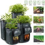 Potatoes Grow Bags 3/5/10 Gallon Gardening Plant Growing Bags for Potato Tomato Carrot & Other Vegetable Planter Container - Image 2