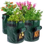 Potatoes Grow Bags 3/5/10 Gallon Gardening Plant Growing Bags for Potato Tomato Carrot & Other Vegetable Planter Container - Image 3