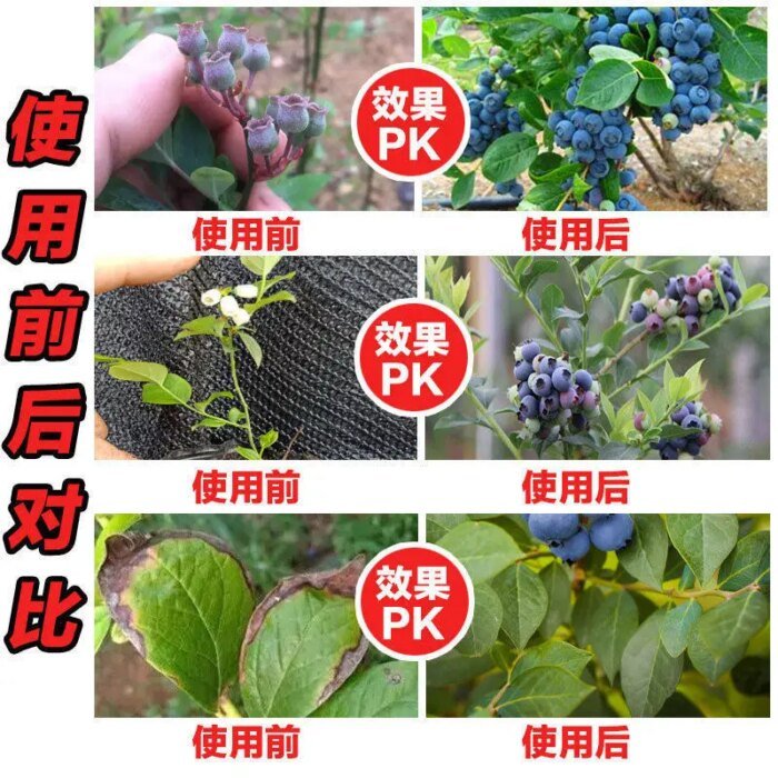 Blueberry Fertilizer Household Potted Fruit Tree Universal Flower Fertilizer Organic Compound Fertilizer - Image 4