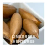 Mahua Seeds Wholesale Organic Madhuca Seeds Export from India Madhuca longifolia Mahua seeds Wholesale - Image 3