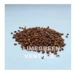 Mahua Seeds Wholesale Organic Madhuca Seeds Export from India Madhuca longifolia Mahua seeds Wholesale - Image 4