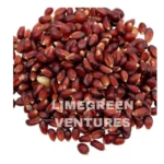 Mahua Seeds Wholesale Organic Madhuca Seeds Export from India Madhuca longifolia Mahua seeds Wholesale - Image 5