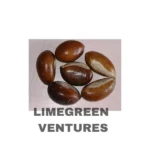 Mahua Seeds Wholesale Organic Madhuca Seeds Export from India Madhuca longifolia Mahua seeds Wholesale - Image 7