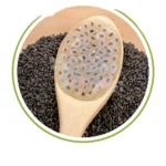 Basil seeds healthy lifestyle food option cooling body detox control appetite energy support plant based protein vitamins