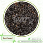 Basil seeds healthy lifestyle food option cooling body detox control appetite energy support plant based protein vitamins - Image 6