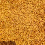 Bulk Rocoto hot pepper seeds 5000-15000 SHU 98% Germination Tunnel House Supply Commercial Pack Kosher Dried & Processed