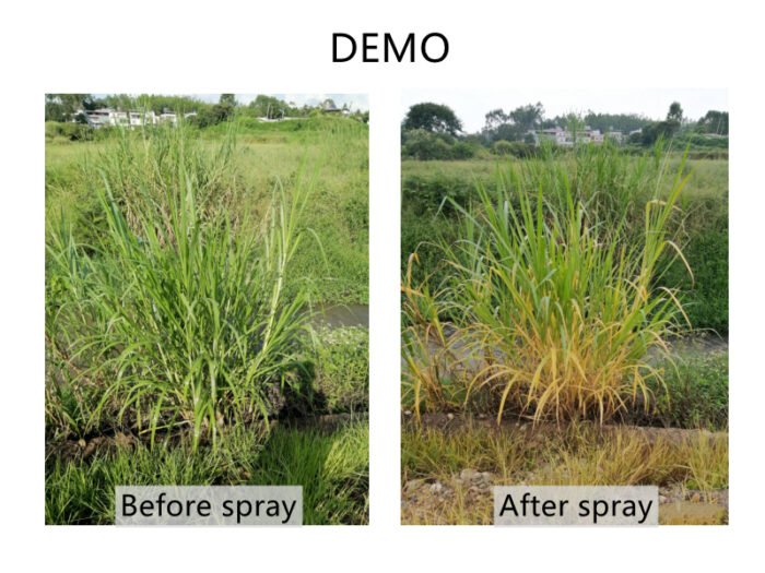 Kenvos Herbicide Glyphosate 480g/L 360g/L SL Glifosato 41% Round up Glyphosat Weedicides in Agriculture - Image 6