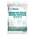 Bulk 20-20-20 NPK Fertilizer Water Soluble Compound Nitrogen in Powder Form Controlled Release for Agriculture